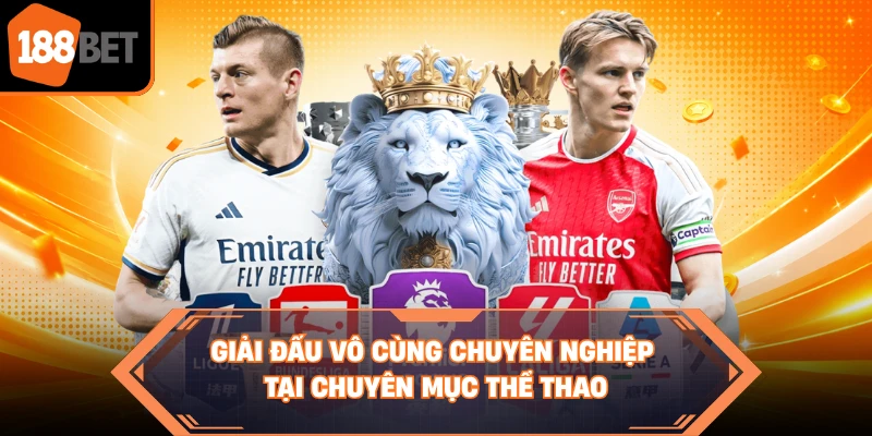 Giải đấu vô cùng chuyên nghiệp tại chuyên mục thể thao 